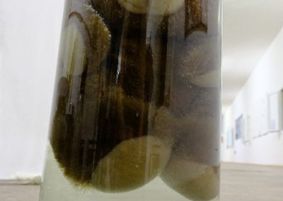 pierangelo rita artista